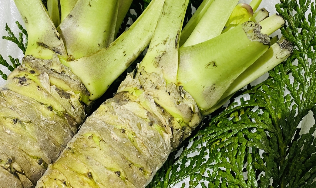 What’s the Difference Between Real and Fake Wasabi?