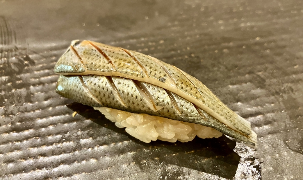 Kohada (Gizzard Shad)
