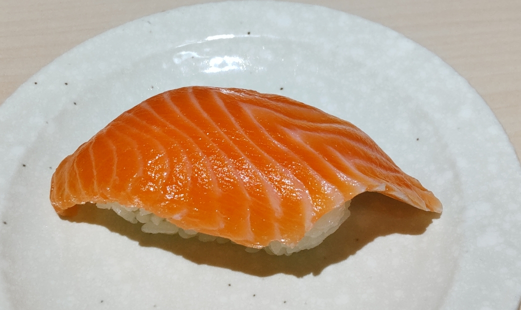 Salmon