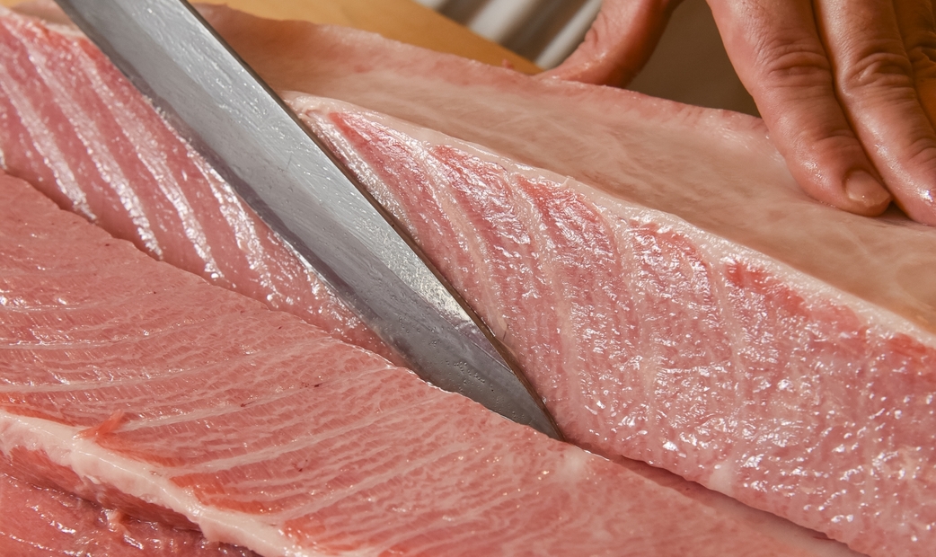 The characteristics of Otoro