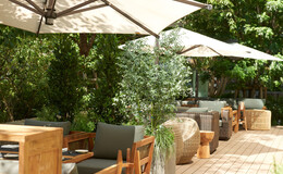 TRATTORIA CREATTA's image 3