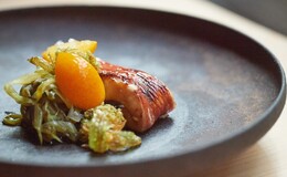 大阪适合独自前往的米其林星级餐厅