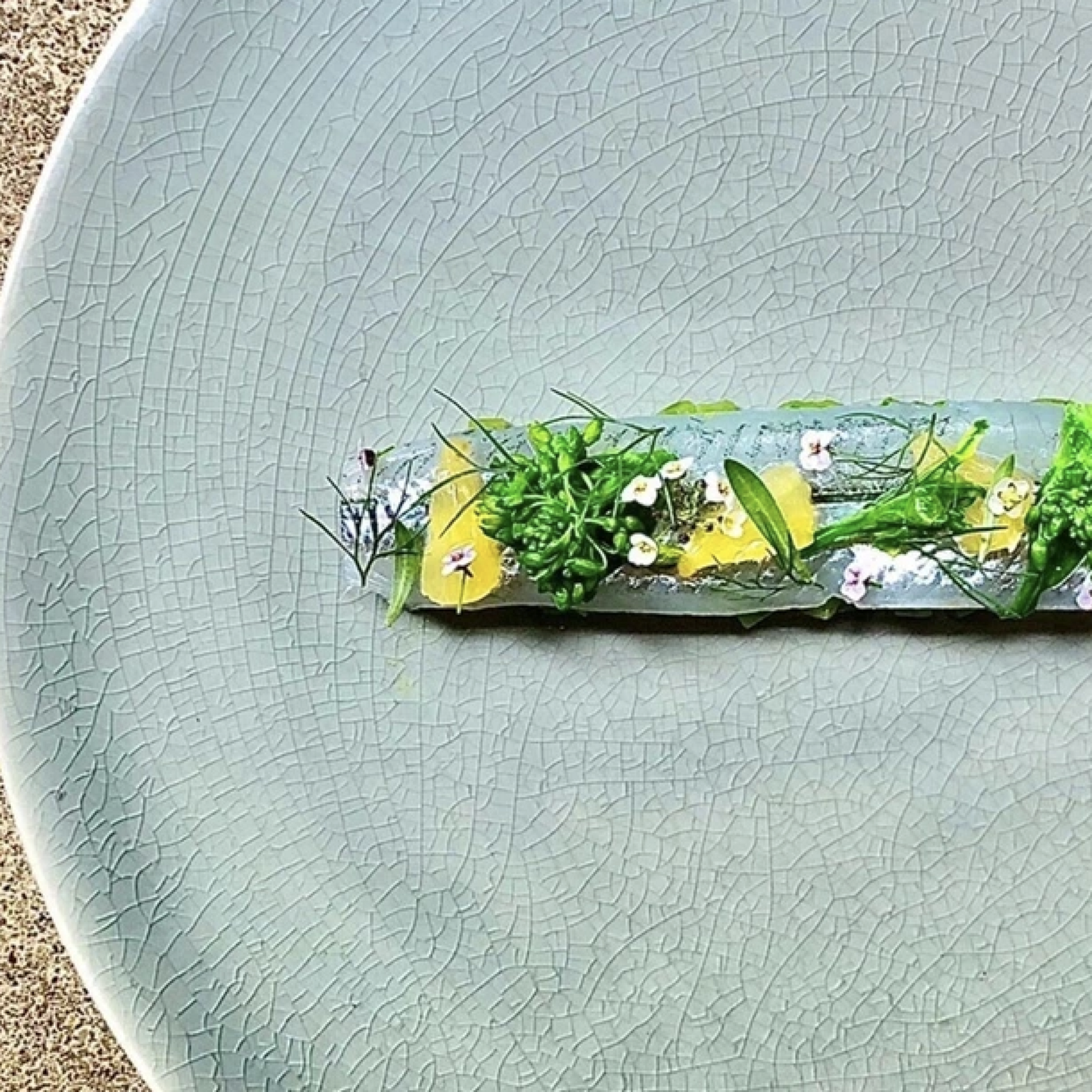 도쿄 비건 프렌들리 레스토랑 21선|캐주얼부터 미슐랭까지