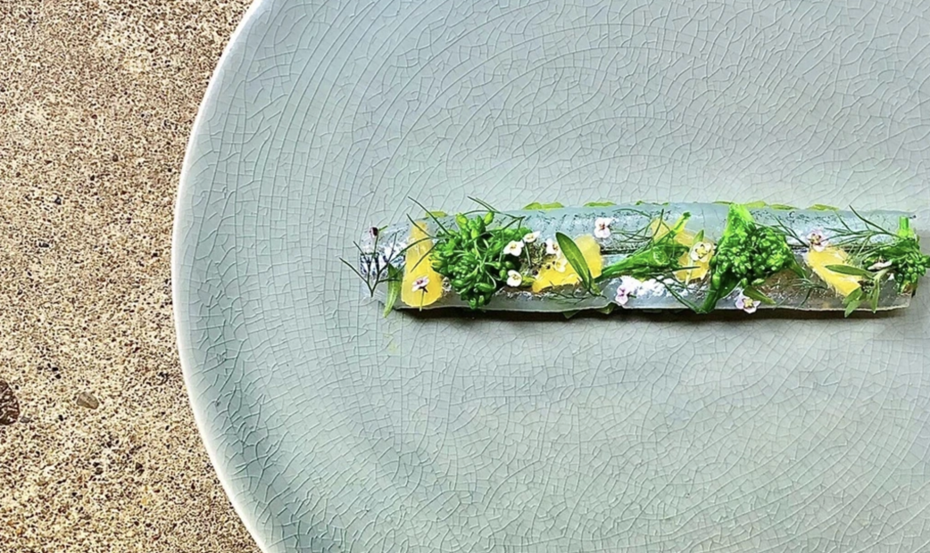 도쿄 비건 프렌들리 레스토랑 21선|캐주얼부터 미슐랭까지