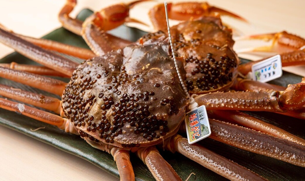 Ryoriya Inaya's image 4