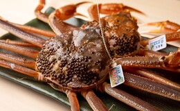 Ryoriya Inaya's image 4