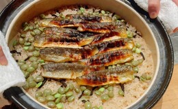 在大阪享用不超过100美元的米其林指南推荐午餐餐厅