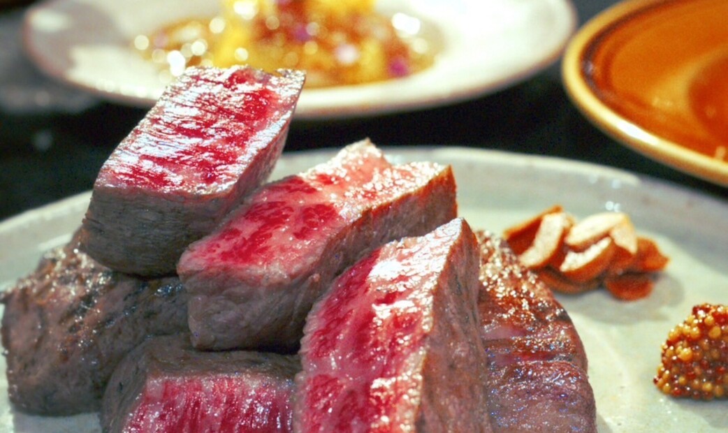 코우시 캠프's image 1