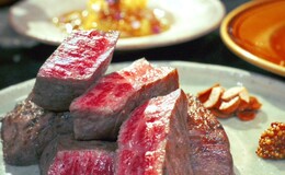 COWSI CAMP's image 1