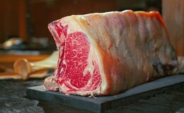 COWSI CAMP's image 2