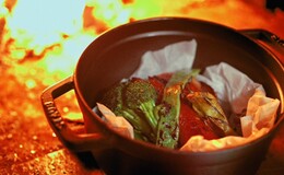 COWSI CAMP's image 5