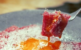 코우시 캠프's image 6