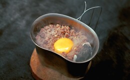 COWSI CAMP's image 8