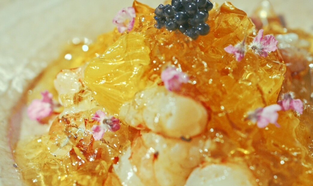 코우시 캠프's image 9