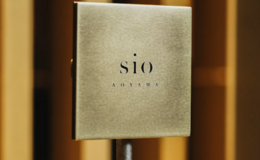 sio AOYAMA's image 3