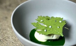 Noeud.TOKYO's image 1