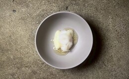 Noeud.TOKYO's image 4