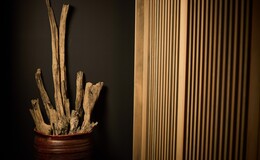 Akasaka Himeno's image 4