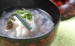 Oryori Mashita's image 2