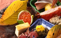 Oryori Mashita's image 4