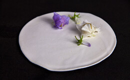 게이치츠's image 7