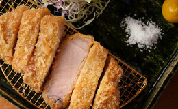 Tonkatsu Junchan's image 1