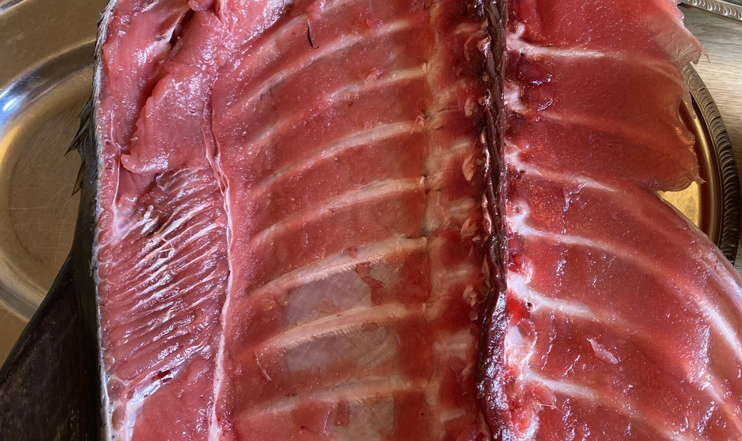 네기토로의 특징