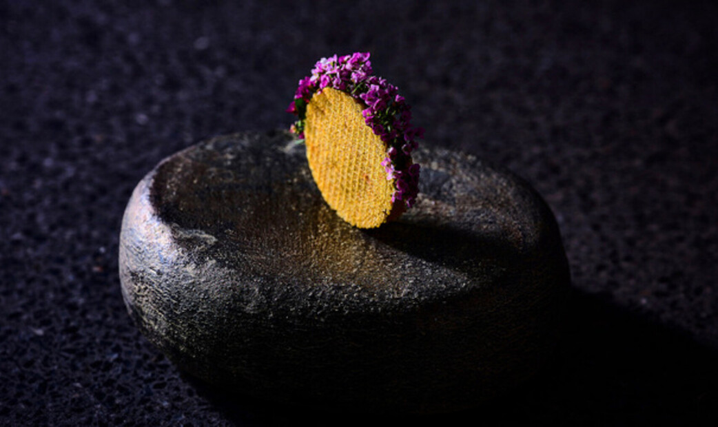 agnel d'or's image 2