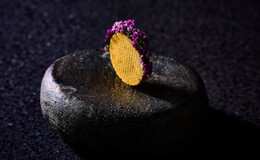 agnel d'or's image 2