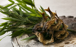 긴자 오쿠다's image 6