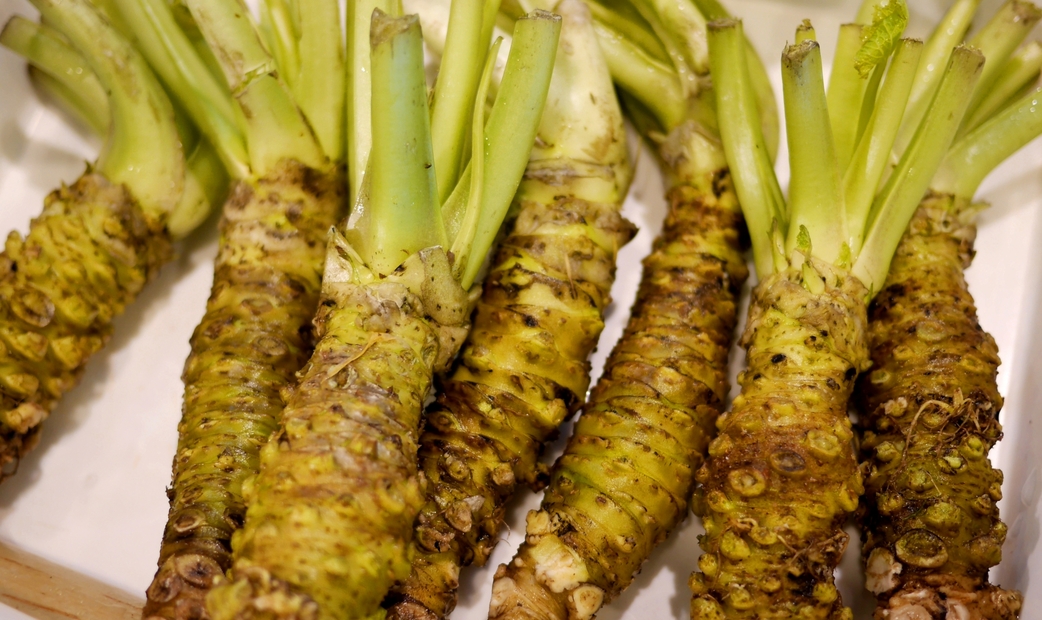 와사비의 독특한 맛의 비밀