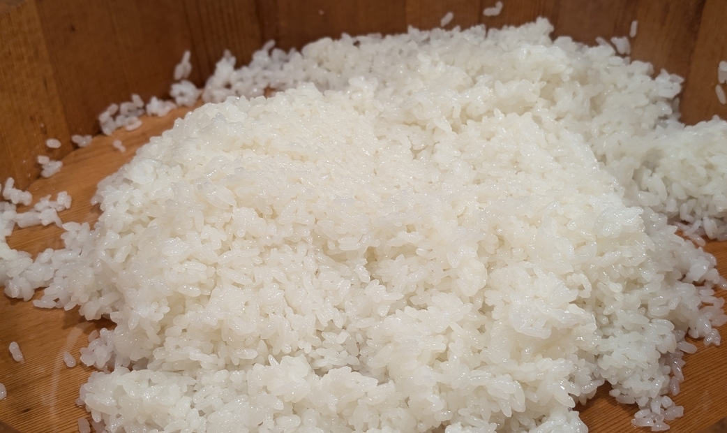 샤리 (초밥용 밥)