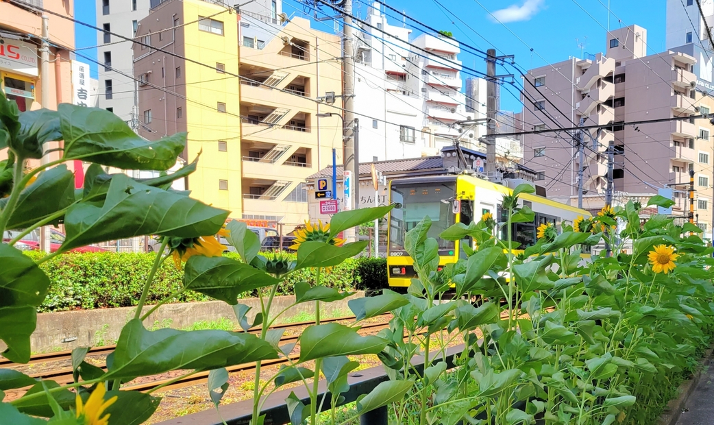 오츠카는 어떤 지역인가요?