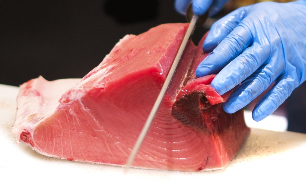 생선회는 안전하게 먹을 수 있나요?