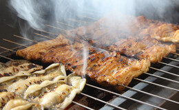 고코치요's image 3