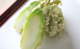 银座午餐推荐餐厅9选