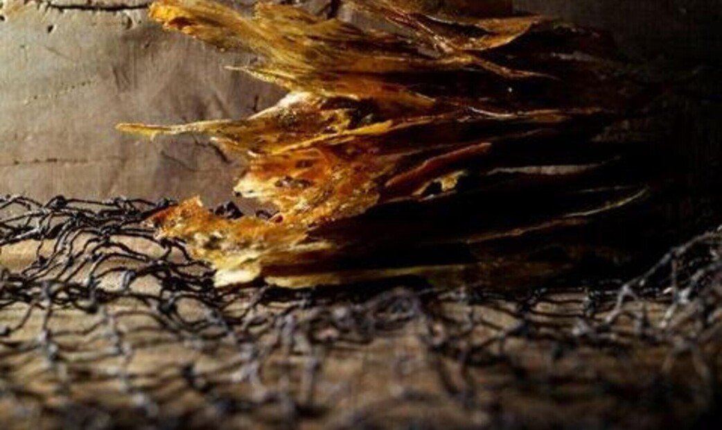 Ristorante Angelo's image 4