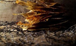 Ristorante Angelo's image 4