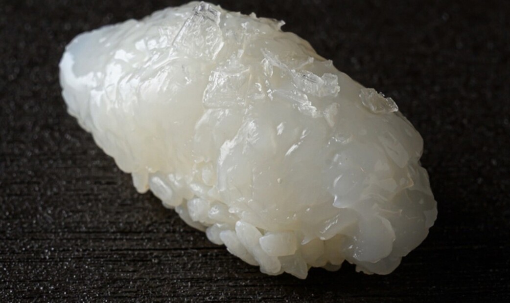 Sushidokoro Shishi's image 6