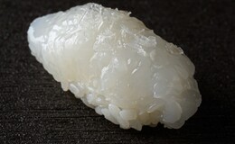 Sushidokoro Shishi's image 6