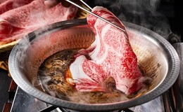 모토아자부 쿠시마's image 1