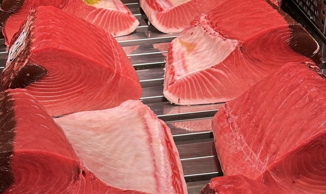 Sushidokoro Shishi's image 5