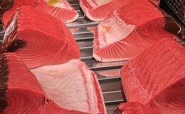 Sushidokoro Shishi's image 5