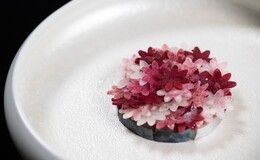 La Gloire (라 글로와)'s image 3