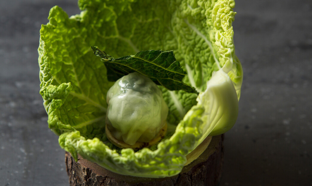 벨로오지에's image 7