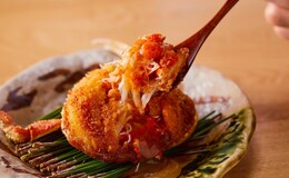 가니젠느 아자부's image 3