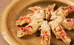 가니젠느 아자부's image 8