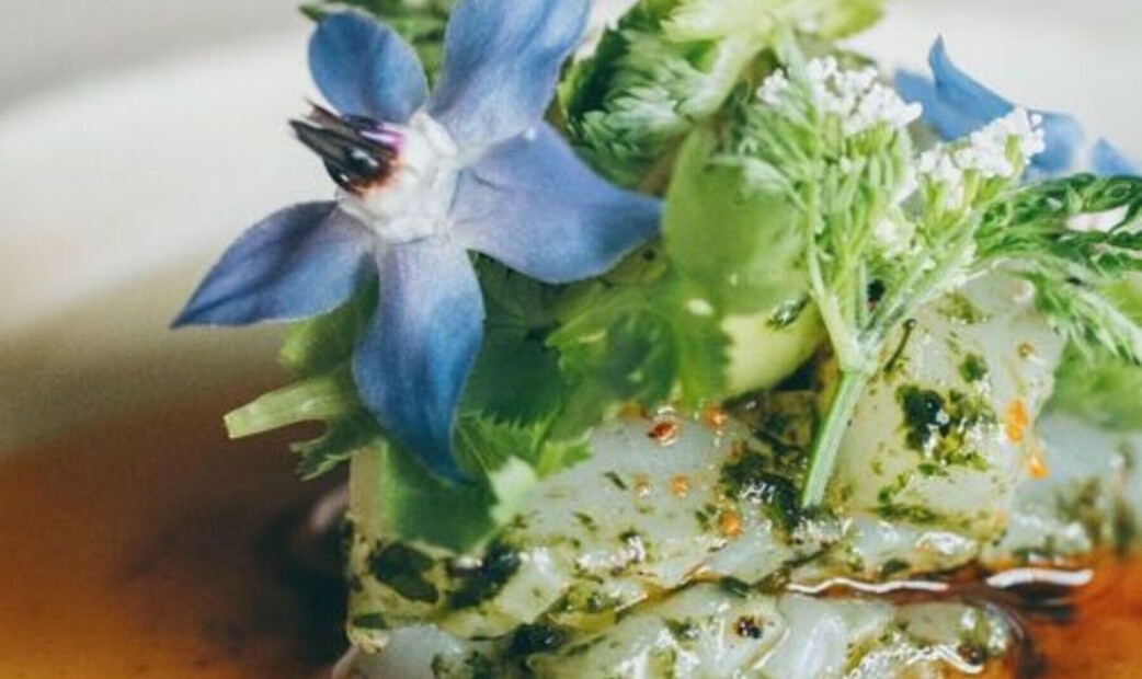 VILLA COMMUNICO's image 1