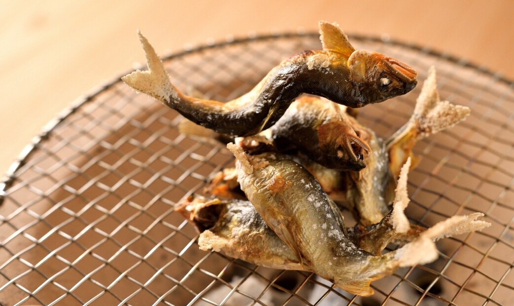 Chiso Takayama's image 9