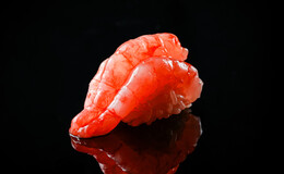 Sushi Kenshin Ebisu Tokyo's image 2